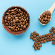 Alimento para Perro  Mojada